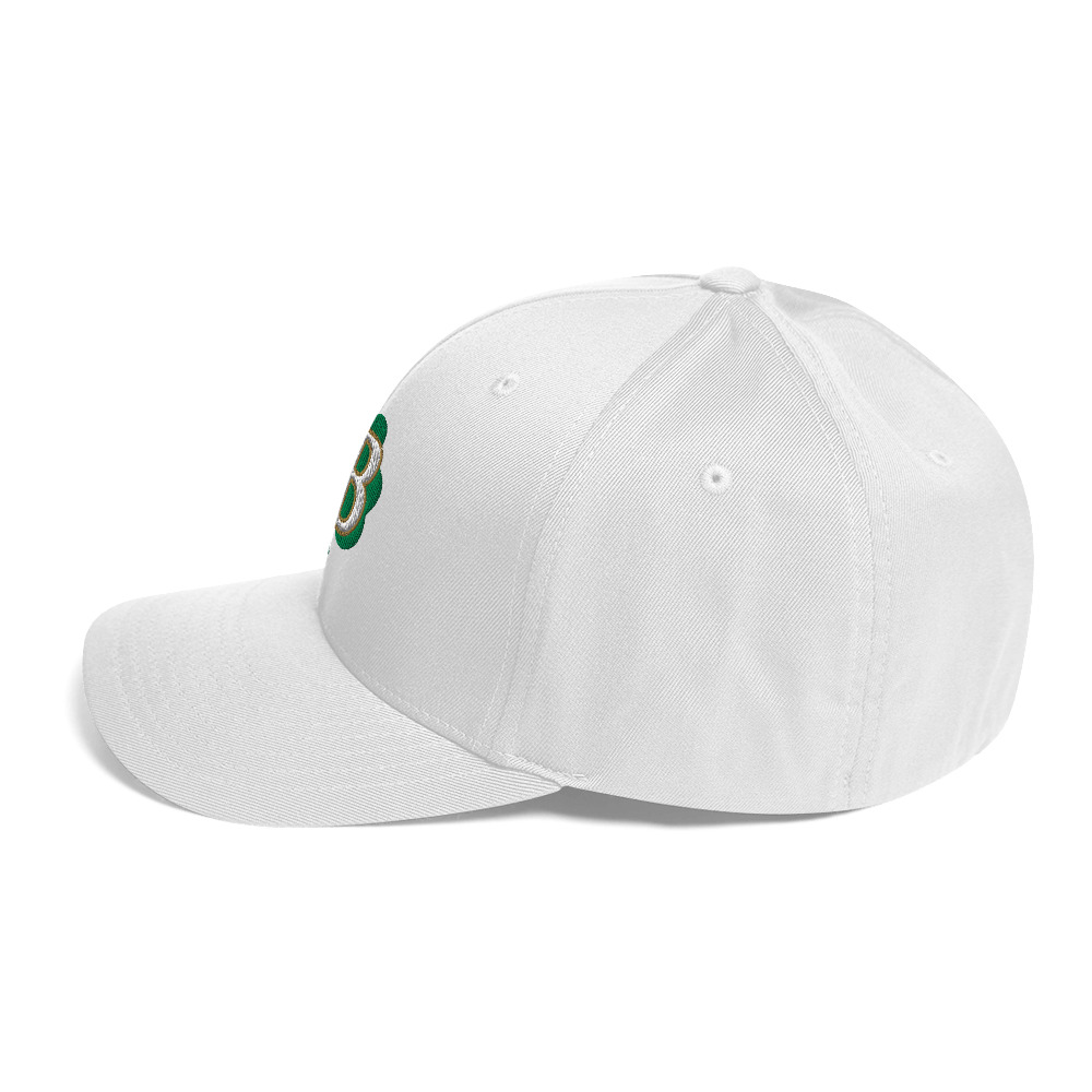 IB Flexfit Hat - Image 6
